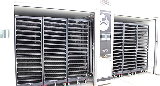 Утка Мулард в Орле